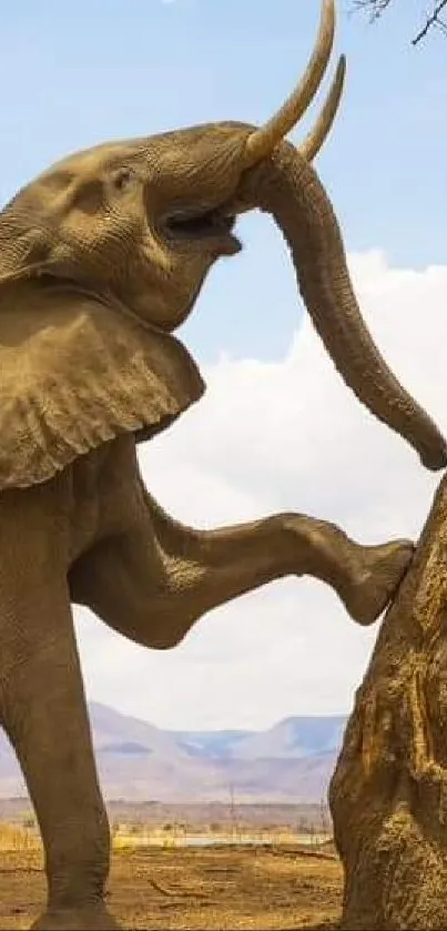 Majestic elephant reaching high up a tree in the savanna landscape.