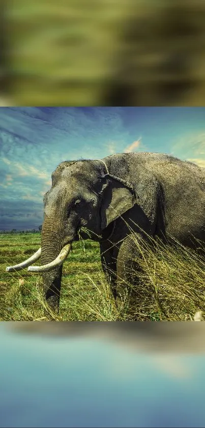 Lone elephant roaming a green landscape under a vibrant sky.