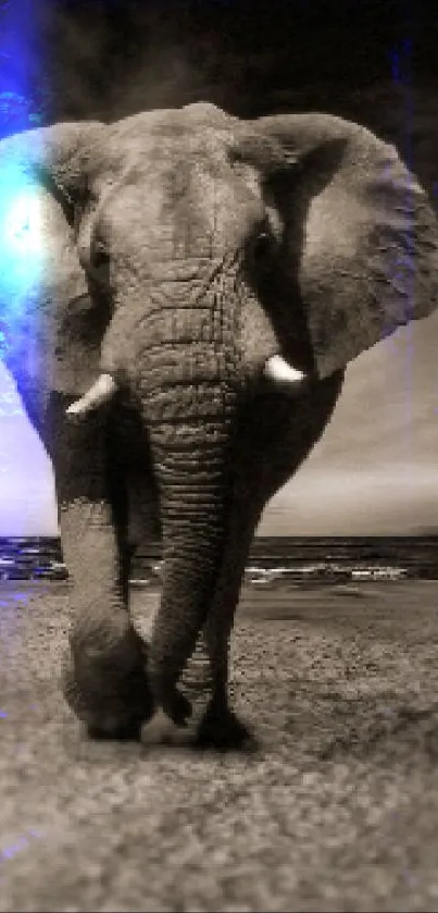 Sepia-toned elephant walking on a vast safari.