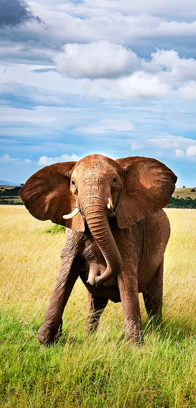 Majestic elephant in African savannah under a wide blue sky.