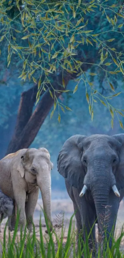 Three elephants under a lush tree in a peaceful natural setting.