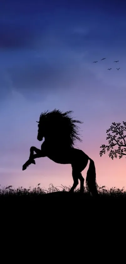 Silhouette of horse and a hot air balloon over a colorful sunset and reflective waters.