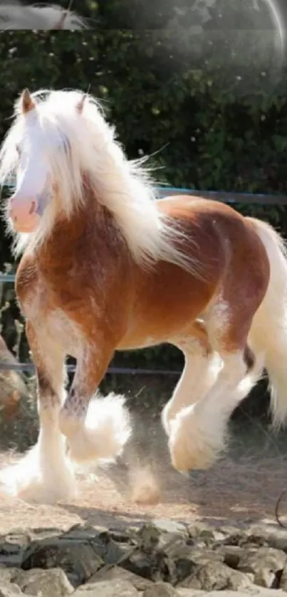 Majestic fiery brown horse with white mane in nature setting.