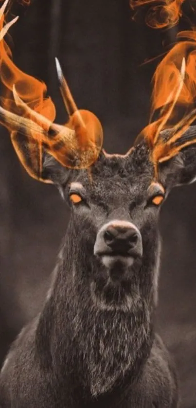 Stunning deer with fiery antlers on a dark background.