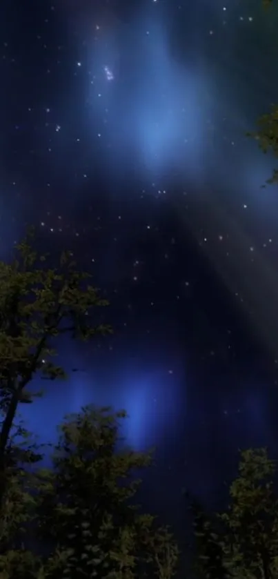 Starlit forest night sky with blue aurora and silhouetted trees.