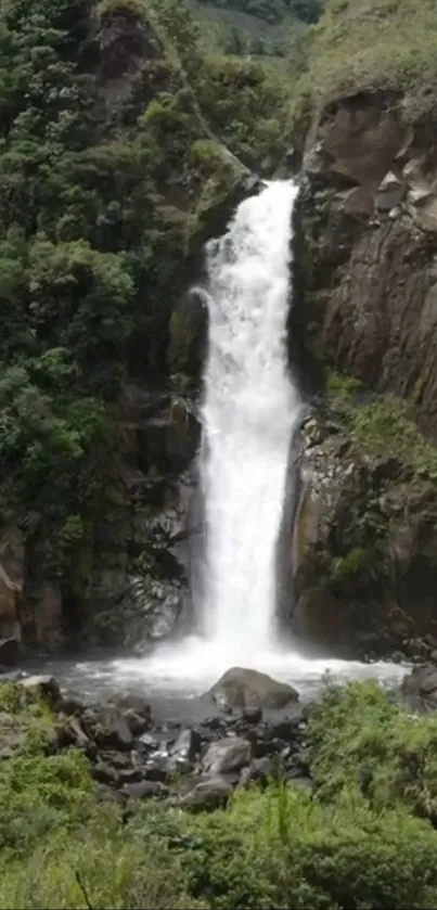 Majestic waterfall cascading amidst lush green forest landscape.