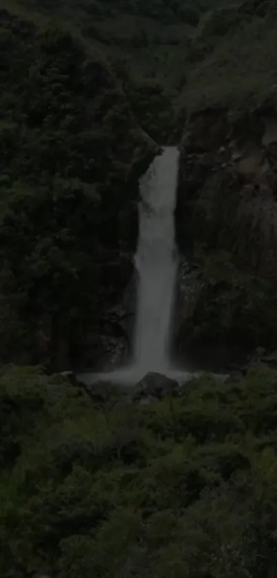 A serene waterfall in a lush forest landscape.