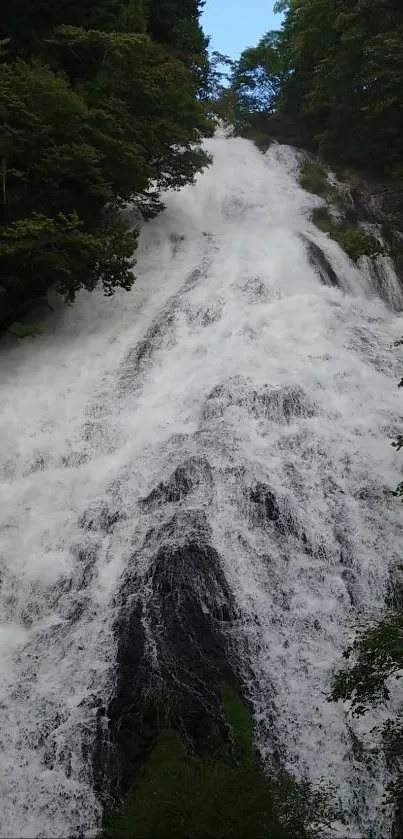 A majestic waterfall cascades in a lush forest setting.