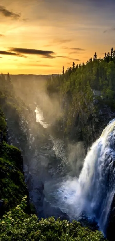 Peaceful waterfall flowing through a lush forest at sunset.