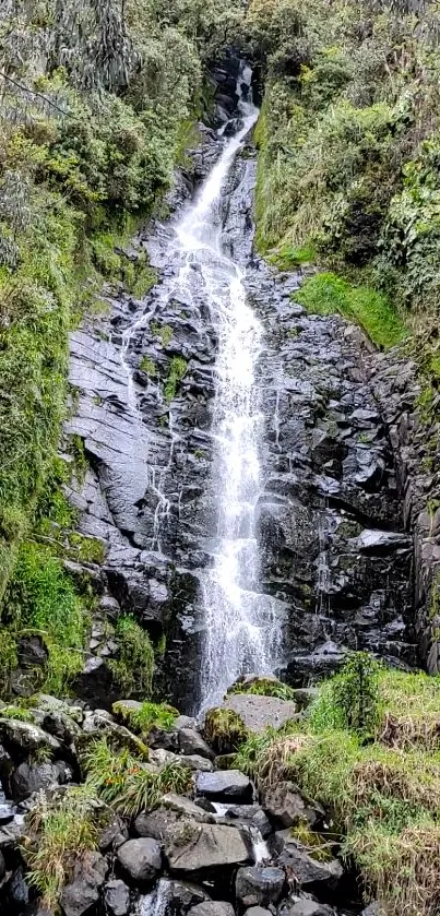 A stunning waterfall cascades in a lush green forest setting.