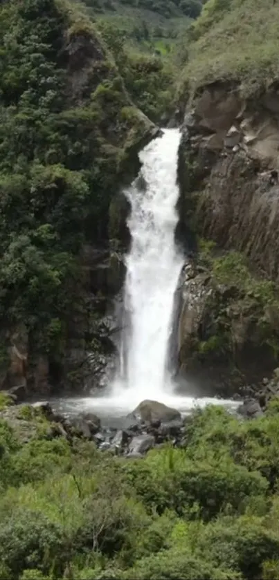 Serene waterfall cascading in lush green forest wallpaper.