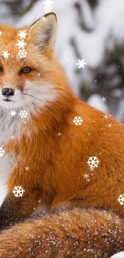 Red fox sitting in a snowy forest.