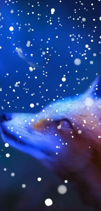 A fox under a starry, snowy night sky in deep blue hues, perfect mobile wallpaper.