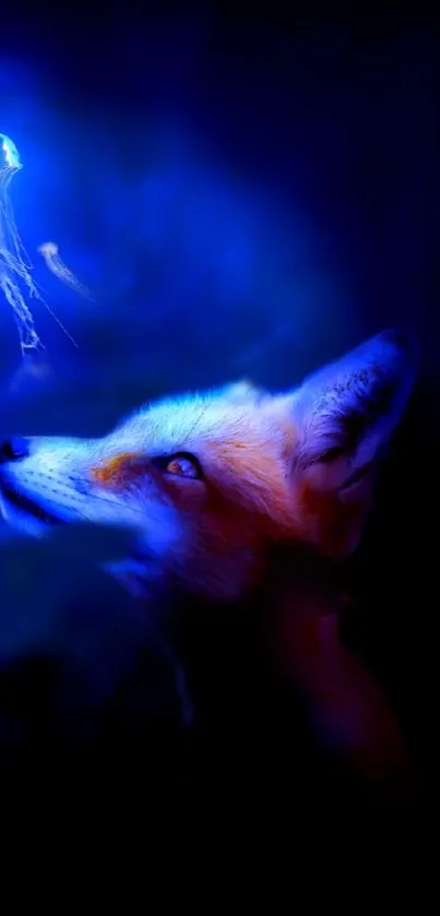 A fox gazing upward, illuminated by captivating blue light.