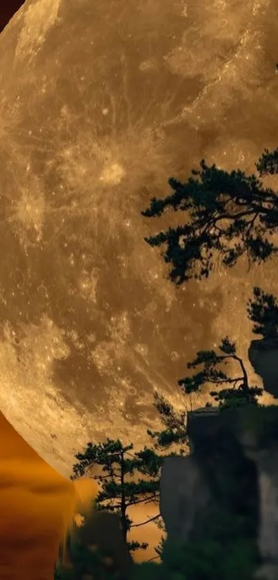 Majestic full moon over rocky cliffs with silhouetted trees.