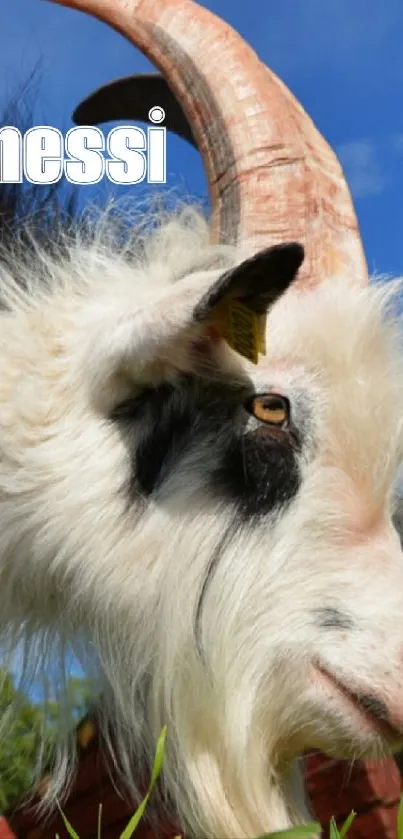 Majestic goat with horns under a blue sky.