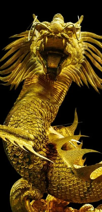 Majestic golden dragon artwork with intricate details on a black background.