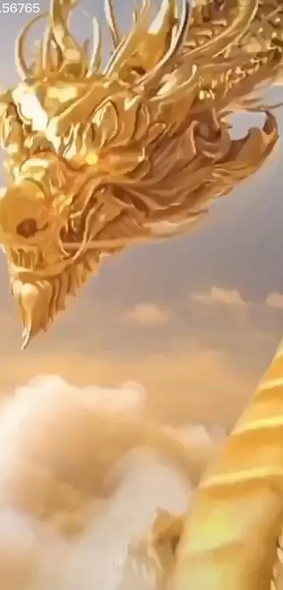 Majestic golden dragon soaring through clouds in fantasy wallpaper.