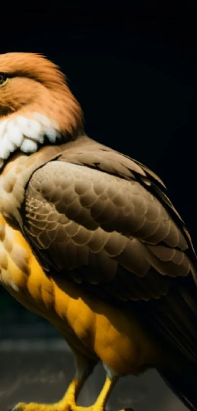 Close-up of a majestic golden eagle with detailed feathers.