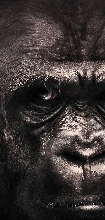 Close-up of a gorilla's face with textured dark fur.