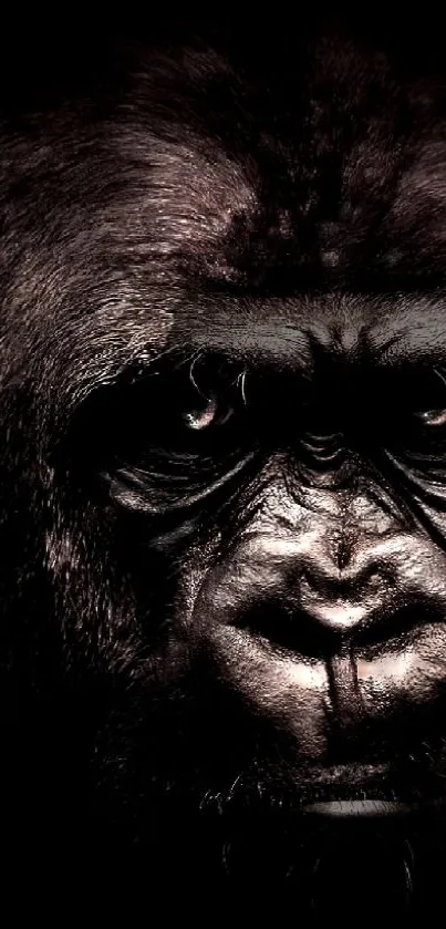 Majestic close-up of a gorilla's face in dark tones.