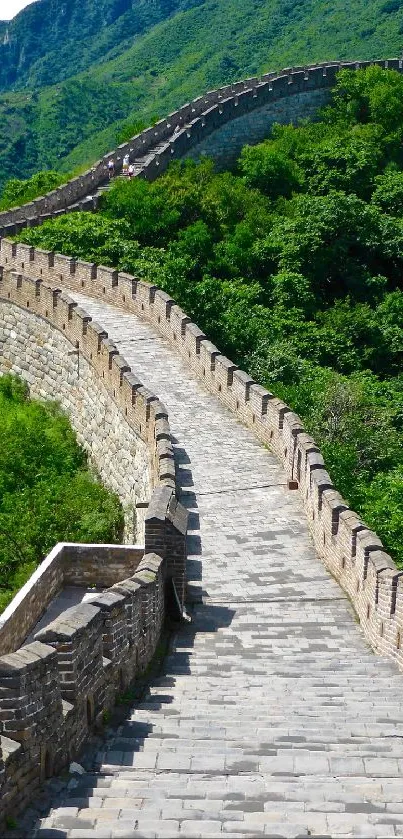 Scenic view of Great Wall with lush greenery.