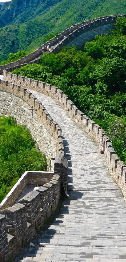 Great Wall of China with lush greenery and stone path.