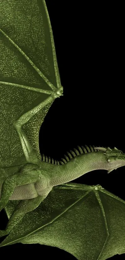 Green dragon with wings on a dark background, perfect for fantasy wallpaper.