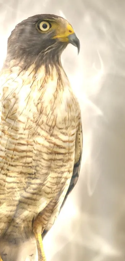 Majestic hawk perched on a post against a soft, beige background.