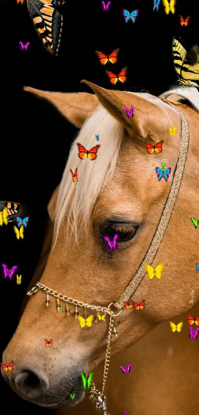 Majestic horse with colorful butterflies on a black background.