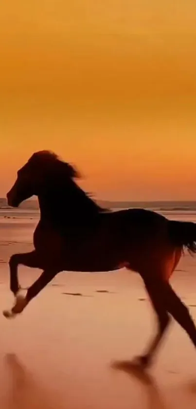 Horse silhouette running on beach at sunset, vibrant orange sky.