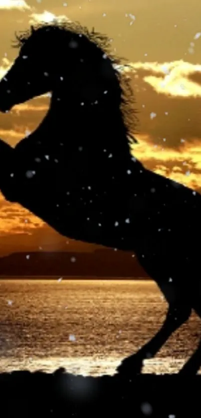 Silhouette of rearing horse against golden sunset by the ocean.