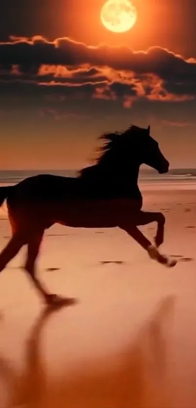 Silhouette of a horse running on a beach against a sunset backdrop.