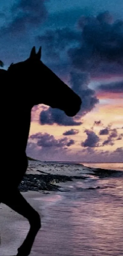 Silhouette of a horse against a purple beach sunset.