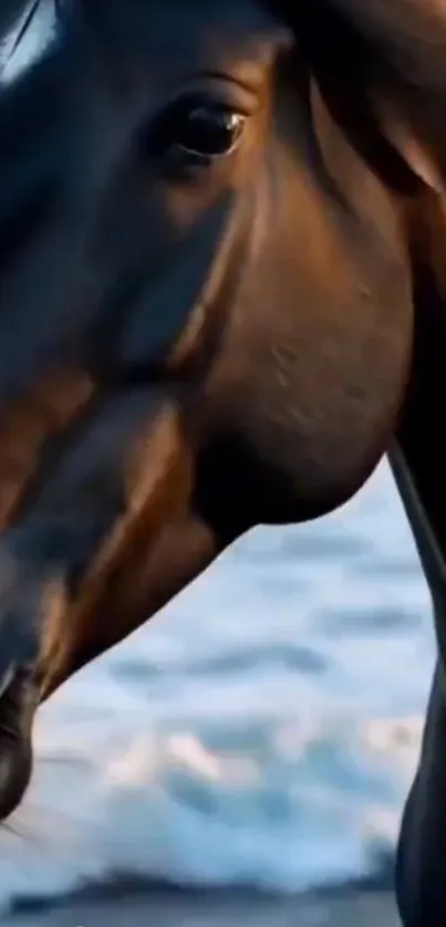 Majestic horse gazing at ocean waves.