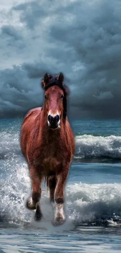 Brown horse galloping by the ocean with waves and a cloudy sky backdrop.