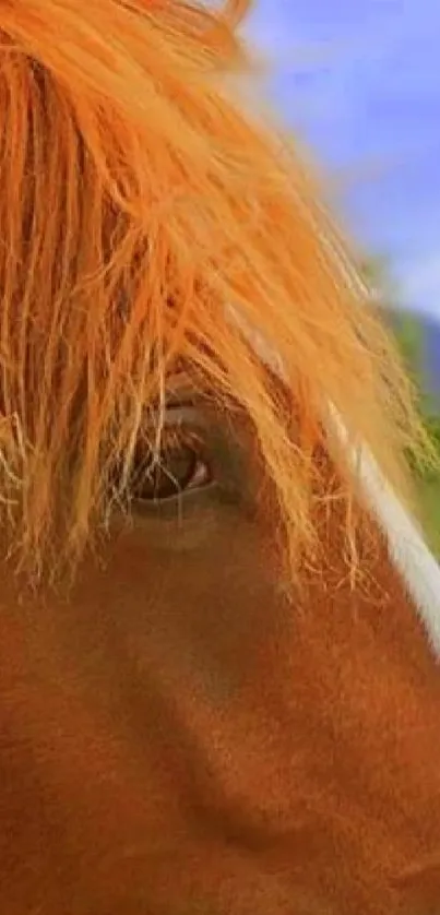 Close-up of a horse's eye with a flowing mane in a natural setting.