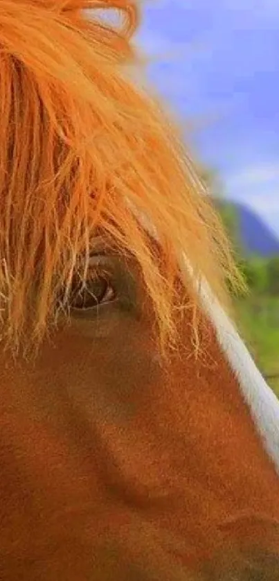 Close-up of a brown horse with orange mane against a blue sky background.