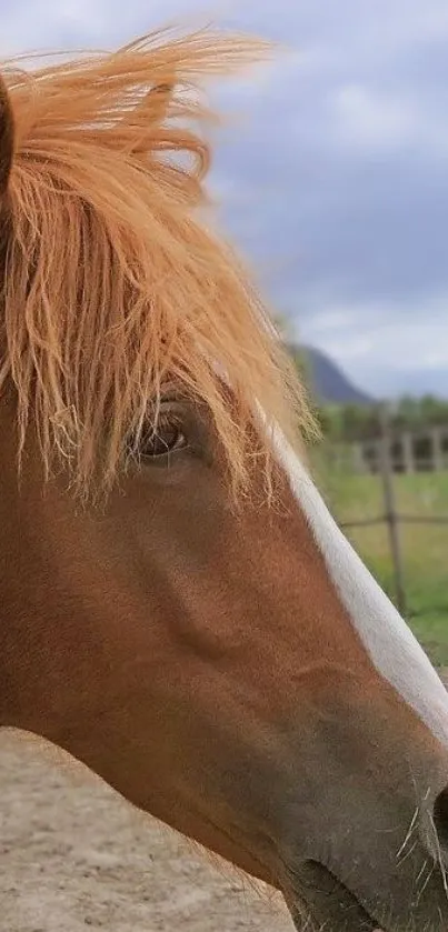 Close-up of a chestnut horse with a flowing mane in a peaceful setting.