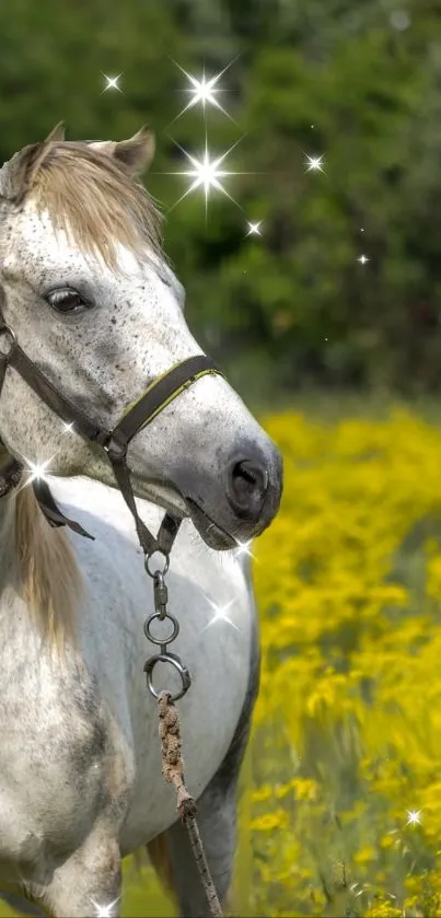 A white horse in a lush, yellow flower field, sparkling elegantly.