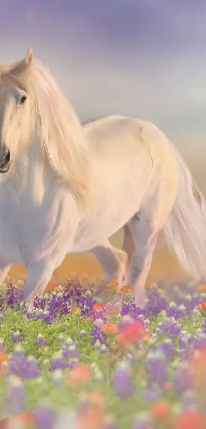 Beautiful white horse in a colorful flower field under a lavender sunset sky.