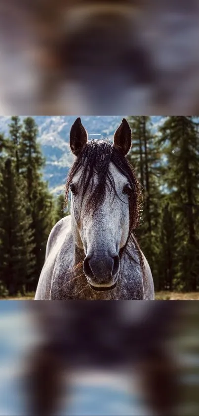 Majestic horse standing amidst a forest landscape, perfect for mobile wallpaper.