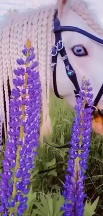 A majestic horse with braided mane amidst vibrant lavender flowers.