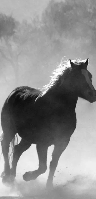 Black and white horse galloping through misty landscape.