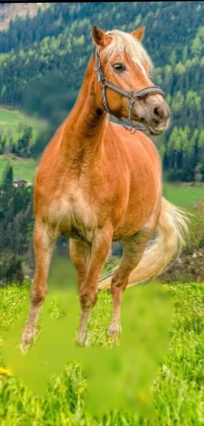 A majestic horse in lush green fields with hills in the background.