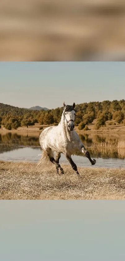 Majestic white horse running in a serene natural landscape.