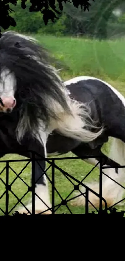 Galloping black and white horse in green field with fence silhouette.