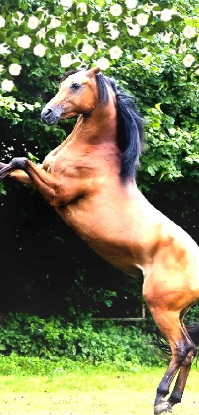 Majestic horse rearing in vibrant green background.