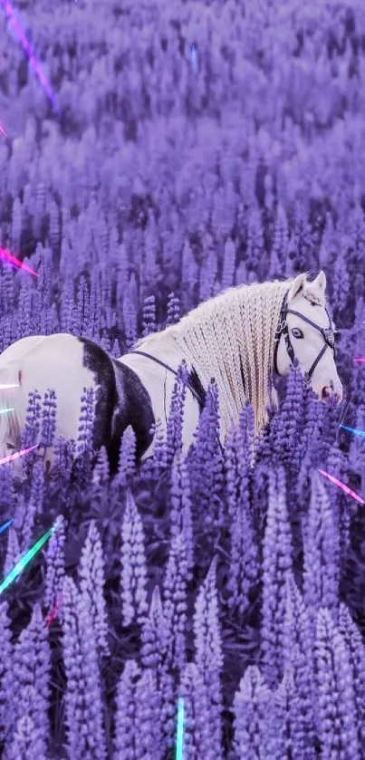 Majestic white horse amidst a purple flower field.