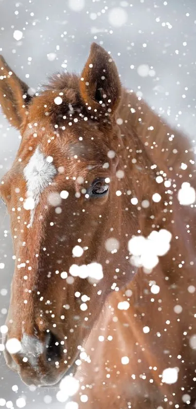 Majestic horse in snowy winter landscape wallpaper.